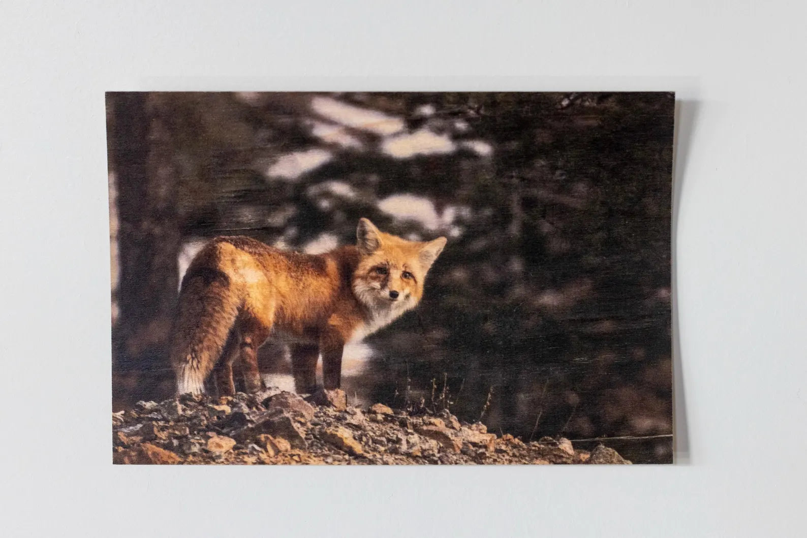 Wood Postcard Collection