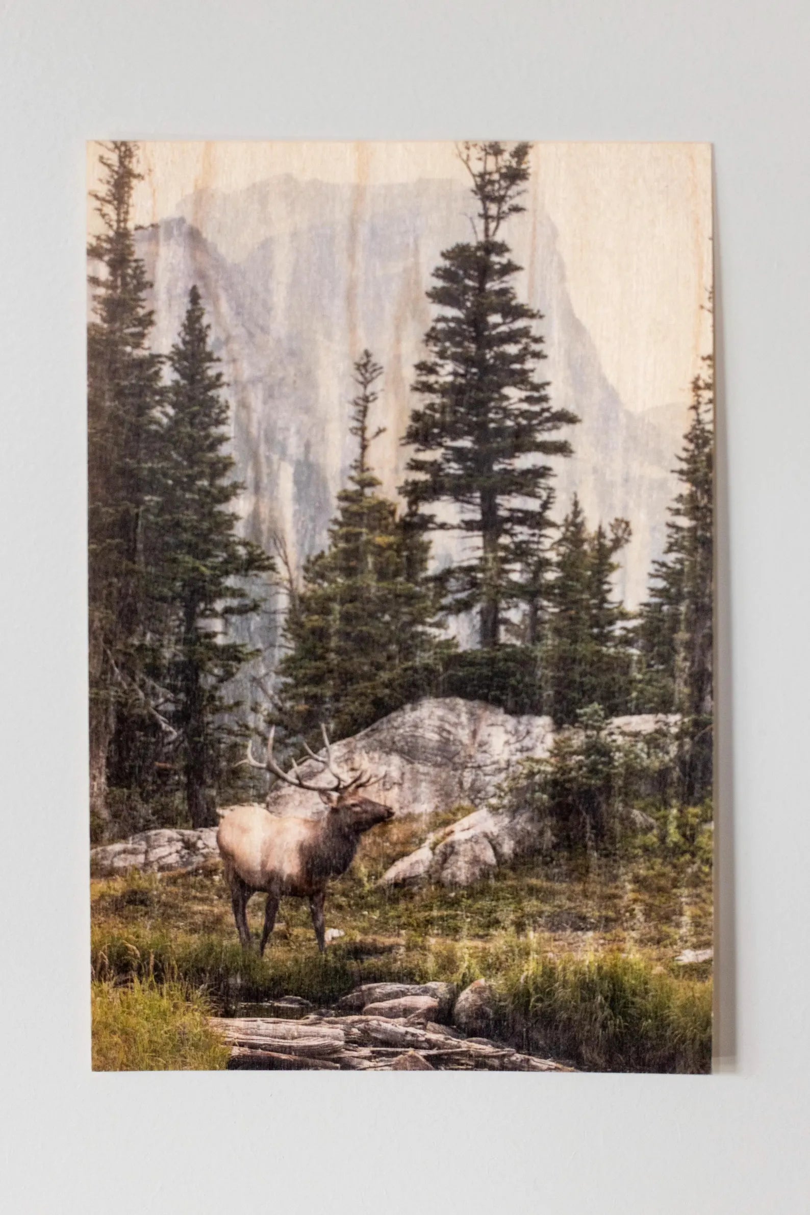 Wood Postcard Collection