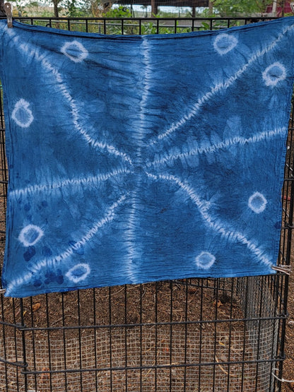 9/23 | Indigo Shibori