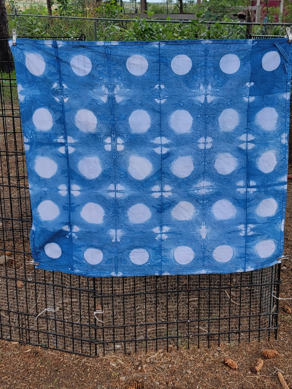 9/23 | Indigo Shibori