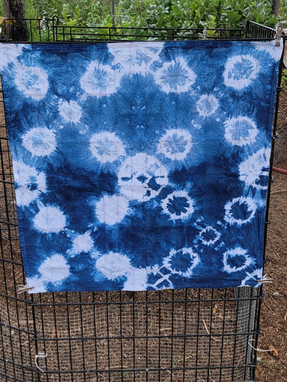 9/23 | Indigo Shibori