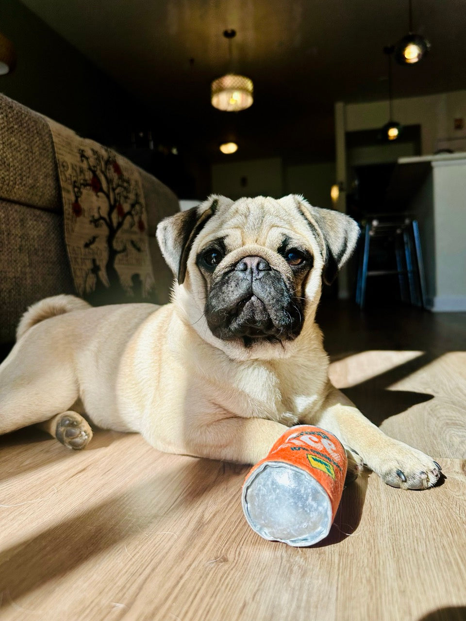 7/14 | PAWS &amp; POURS: Spend an Evening Making Art with Dogs