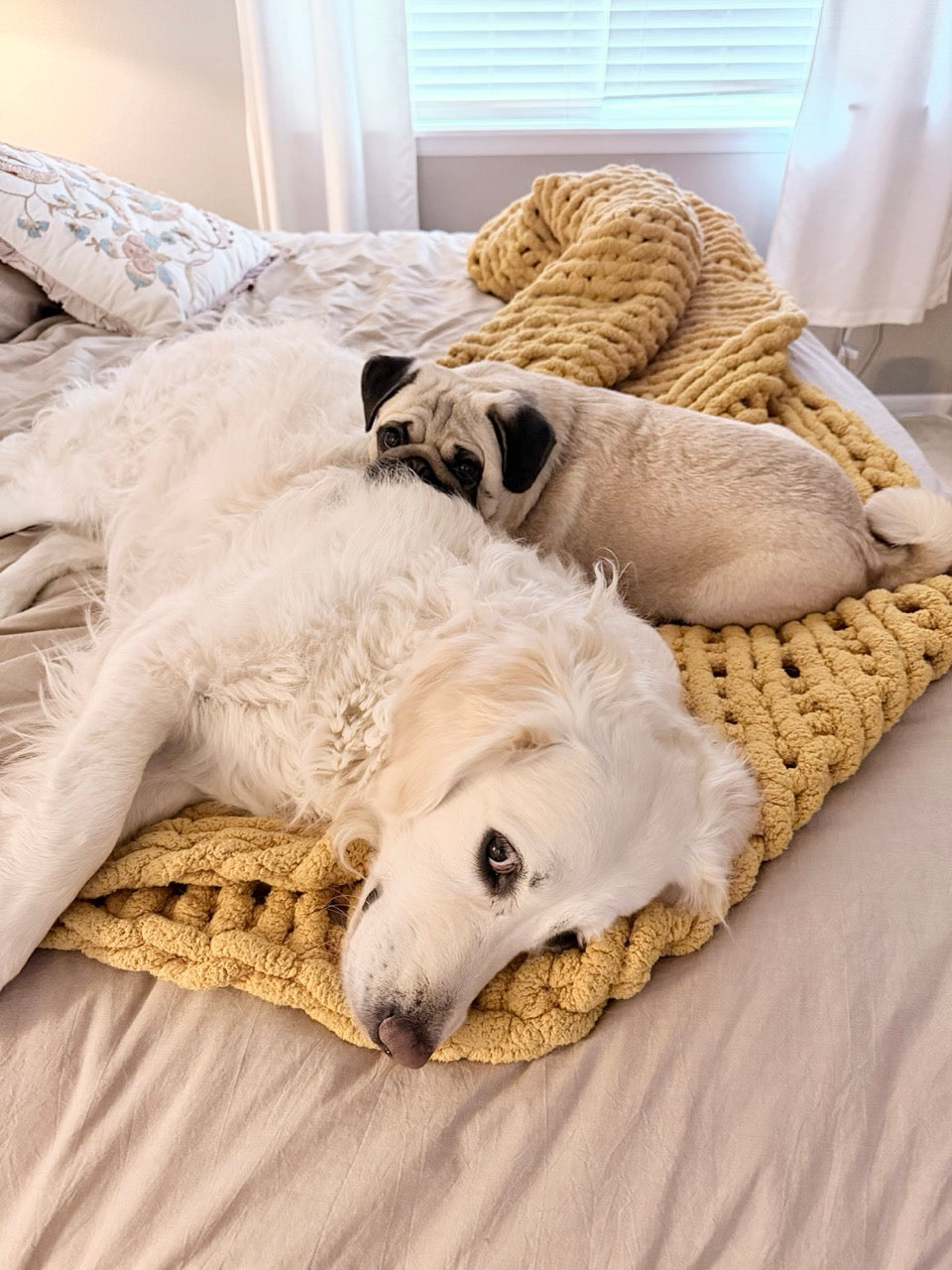 7/14 | PAWS &amp; POURS: Spend an Evening Making Art with Dogs