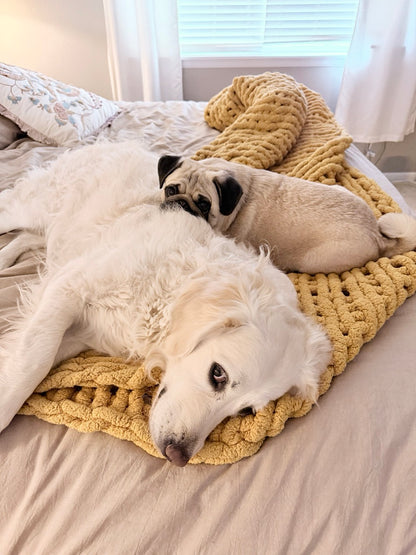 7/14 | PAWS &amp; POURS: Spend an Evening Making Art with Dogs