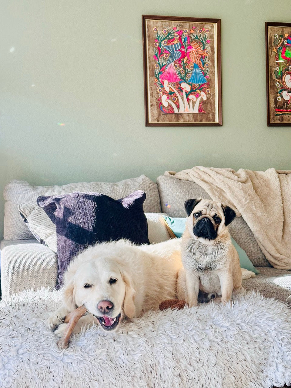 7/14 | PAWS &amp; POURS: Spend an Evening Making Art with Dogs