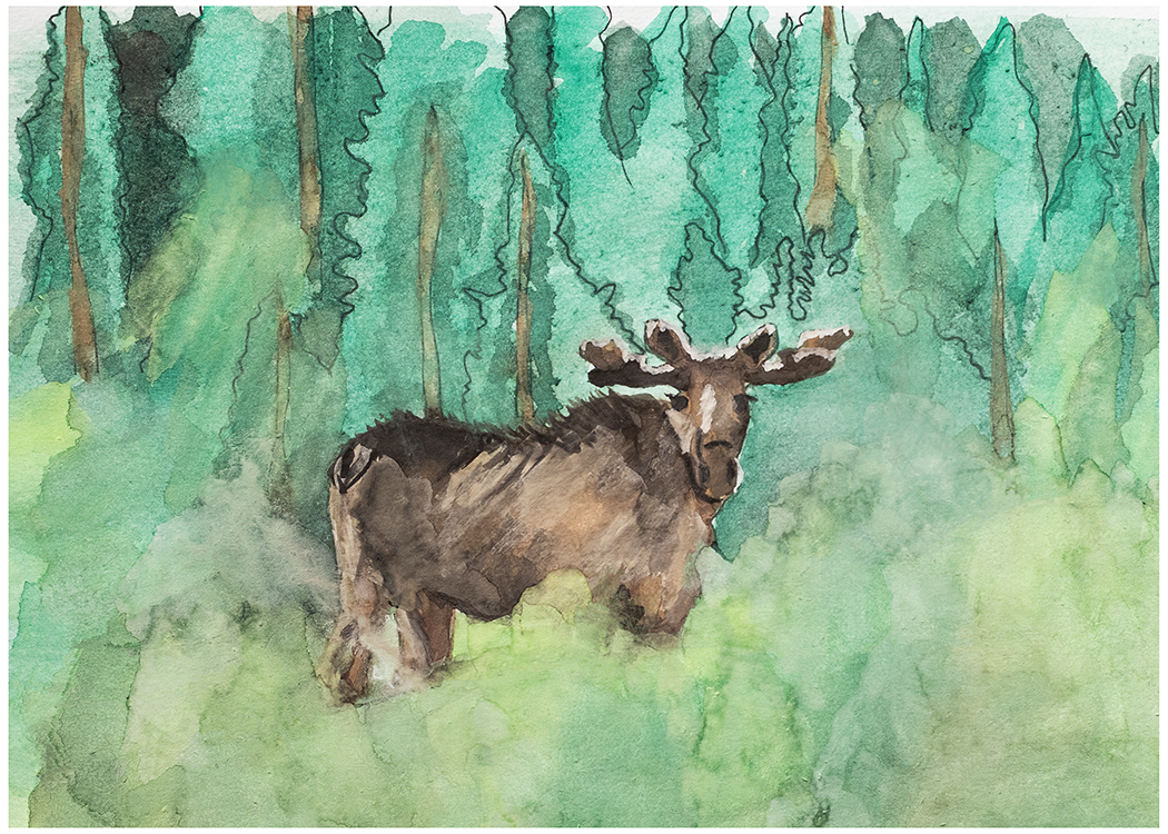 Moose Watercolor Print