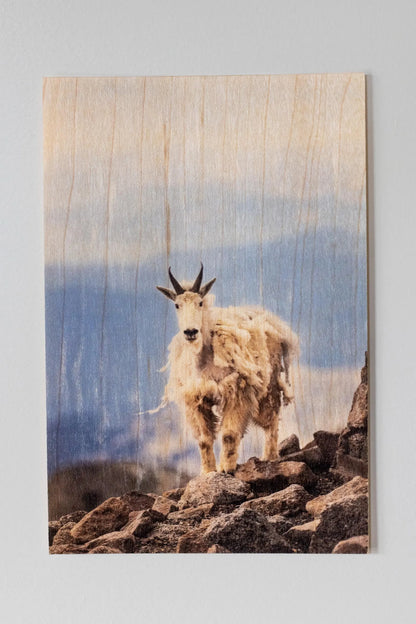 Wood Postcard Collection