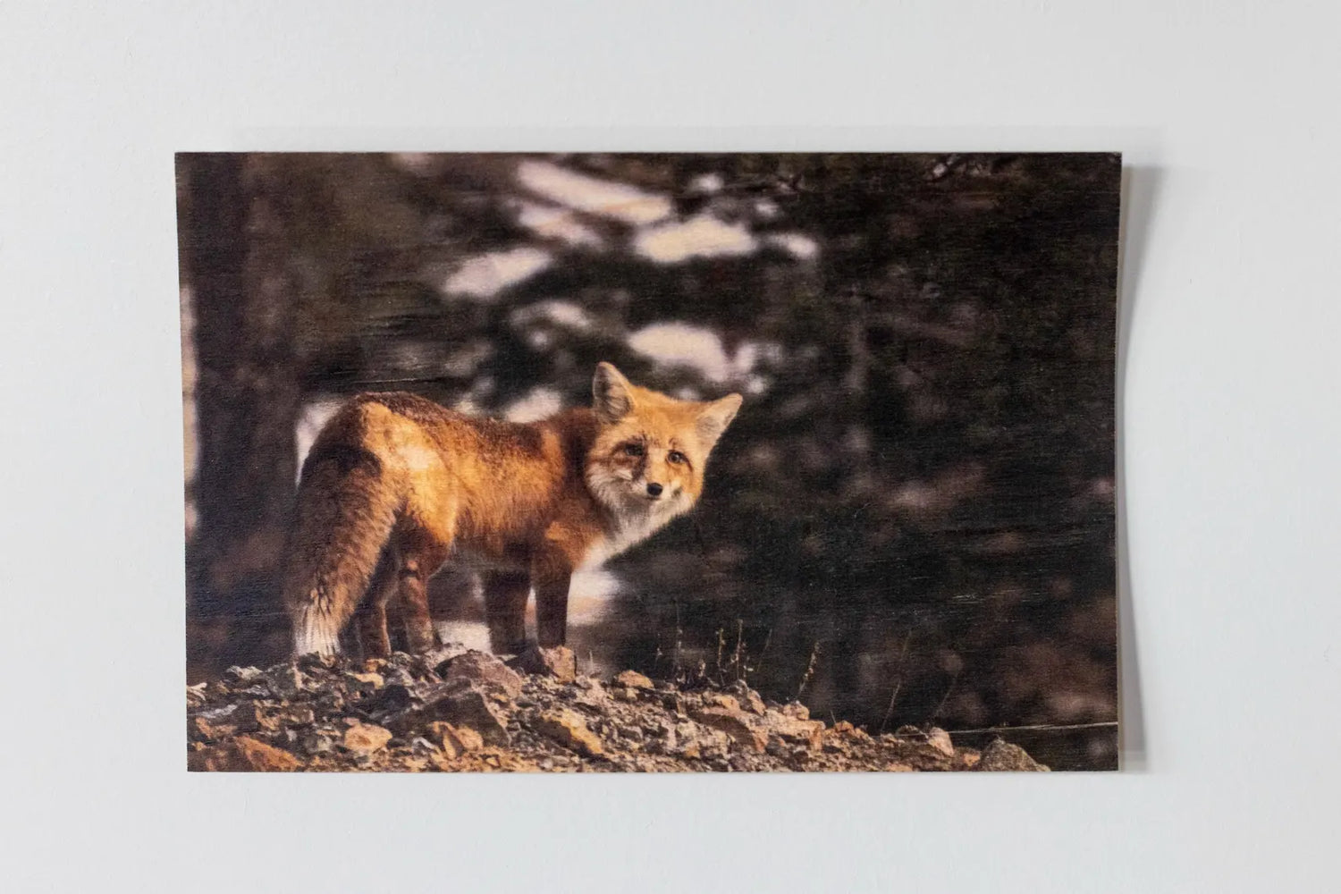 Wood Postcard Collection