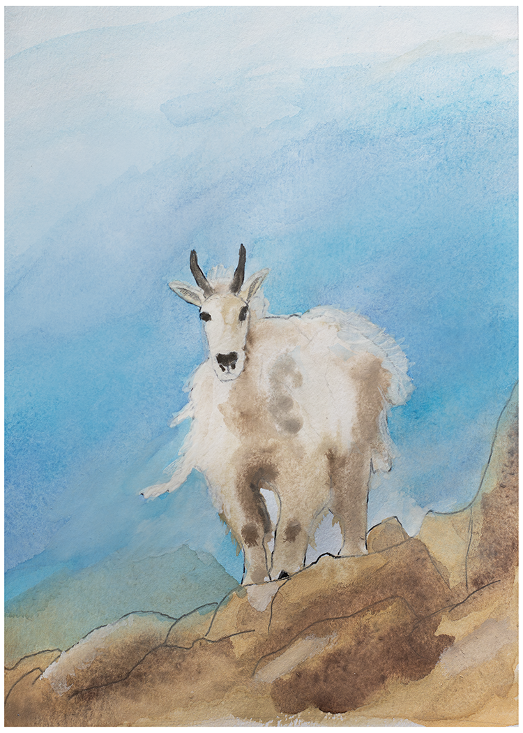 Mountain Goat Watercolor Print